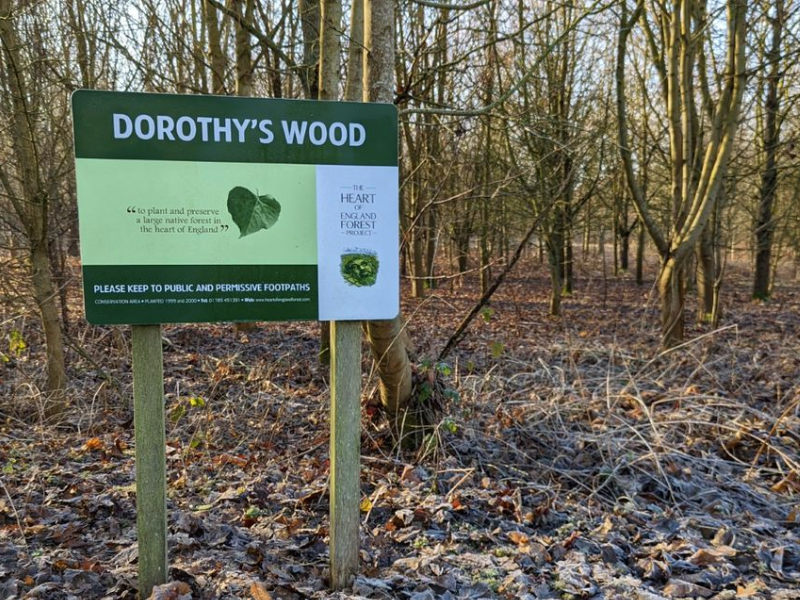 A rectangular sign that says "Dorothy's Wood" in clear font, the sign is in a wintery woodland