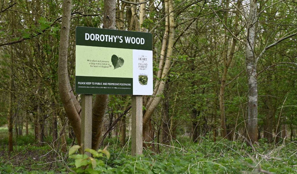 Dorothy's Wood sign with trees behind and wildflowers in the foreground