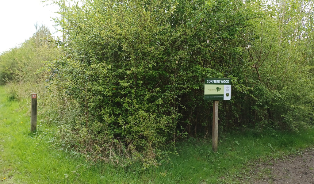 A waymarker and Coxmere Wood sign at a fork in the woodland path