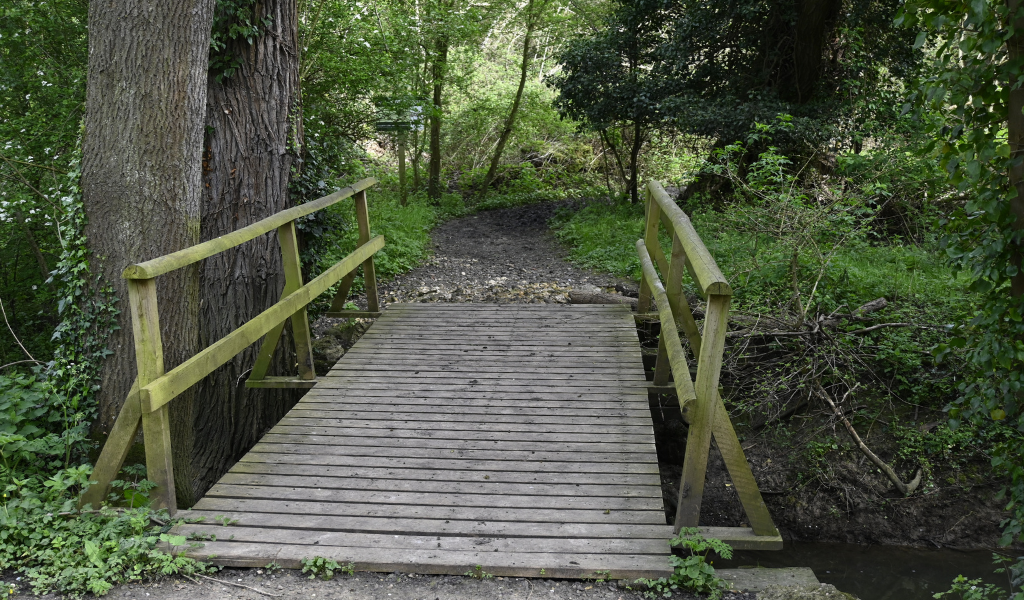 Wooden bridge with handrails across Noleham brook
