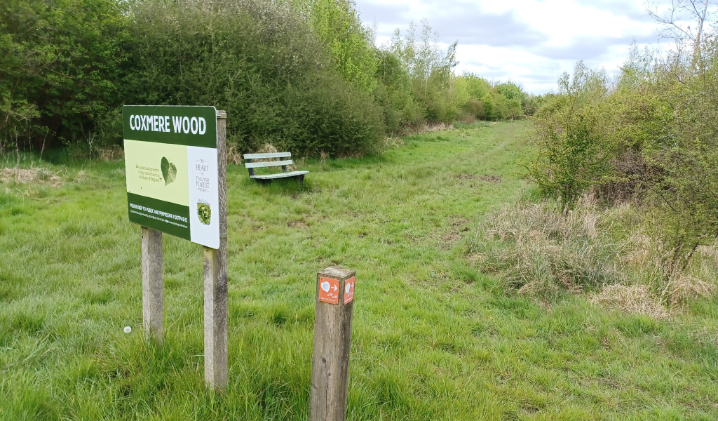 A waymarker, bench and Coxmere Wood sign along a woodland path with mature trees surrounding