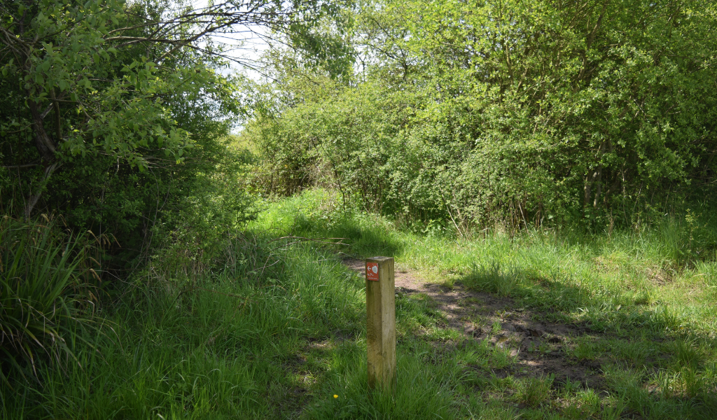 An open field to the right and a waymarker to the left, directing the continuation of the path to the left.