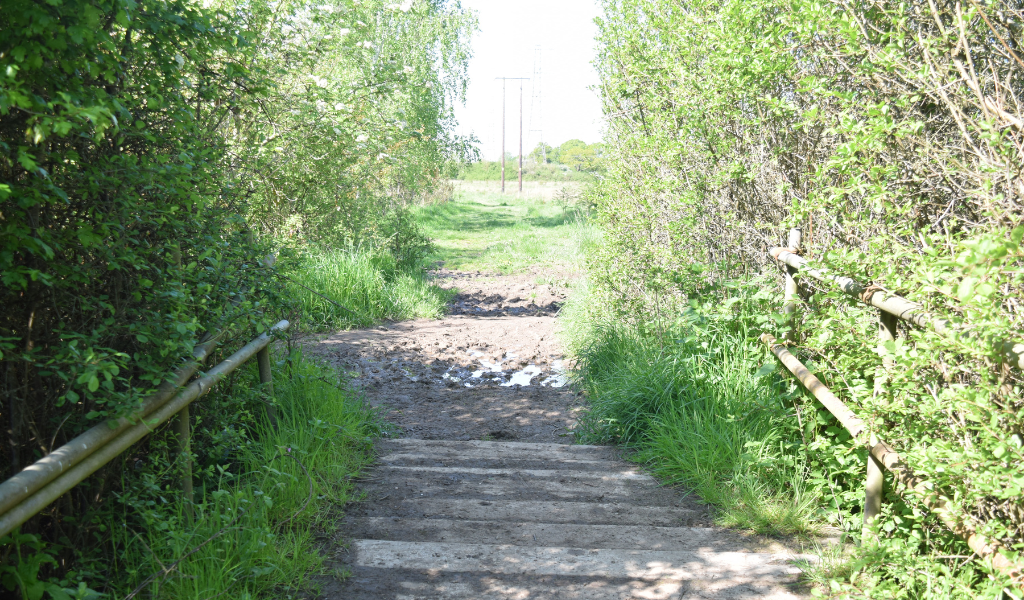 A footpath through a hedgerow across a wooden bridge