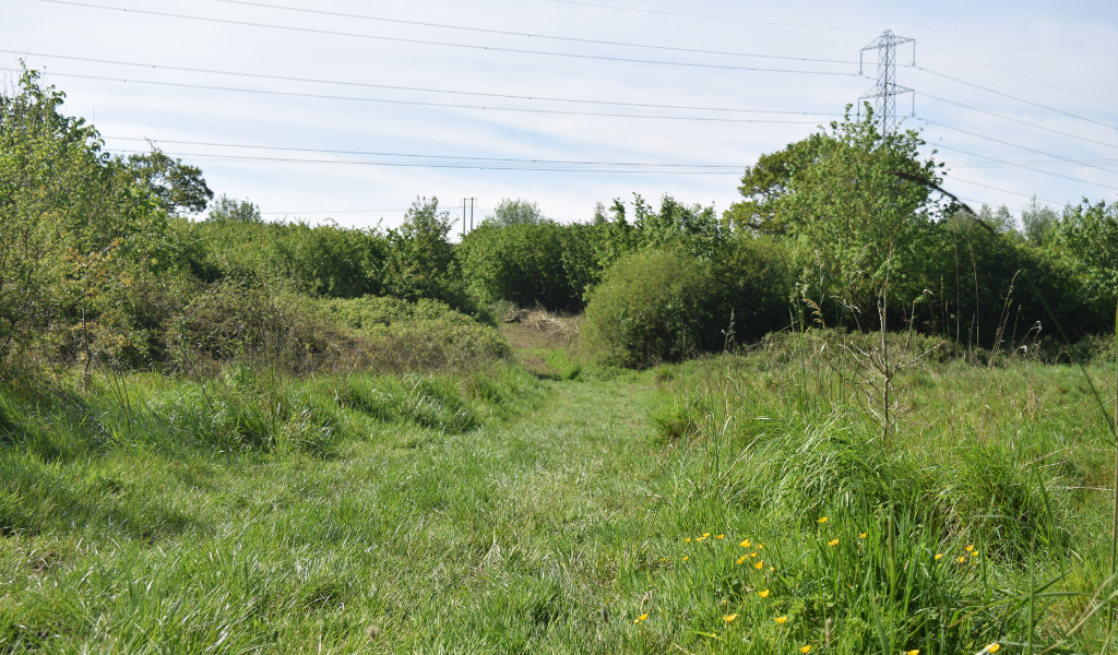 An open area of grassland leading to a gap in the next hedgerow which takes you to the coppiced hazel area