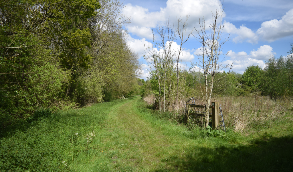 A path running straight ahead and adjacent to a woodland on the left hand side.