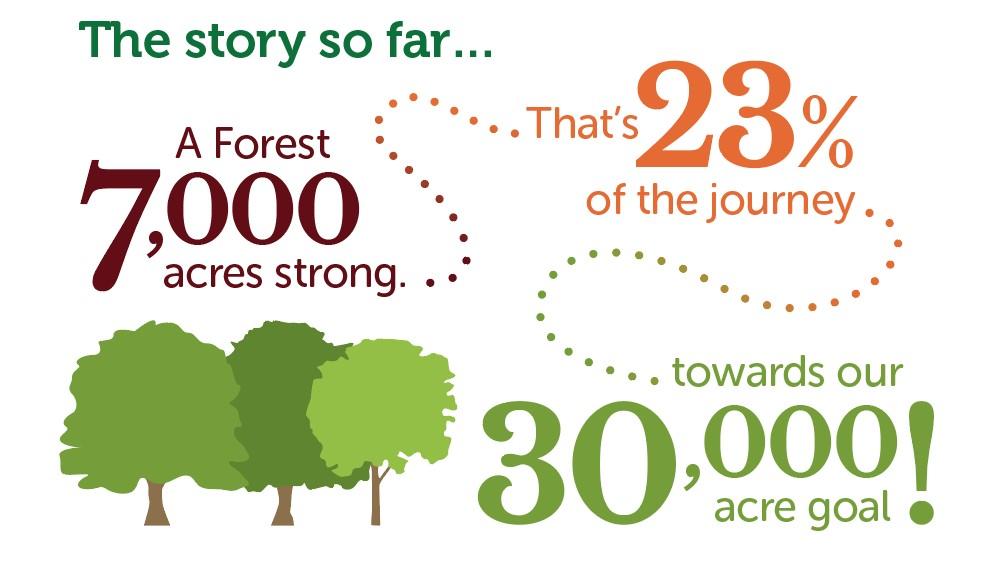 Infographic showing how the Forest has grown to date