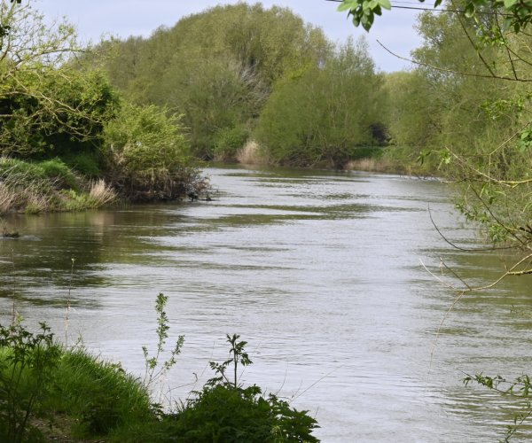 View looking down the River Avon