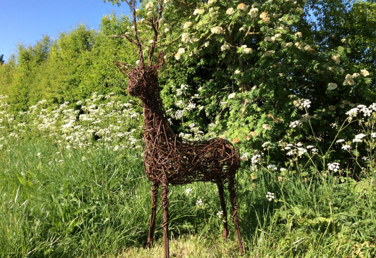 A handmade willow deer from a previous workshop
