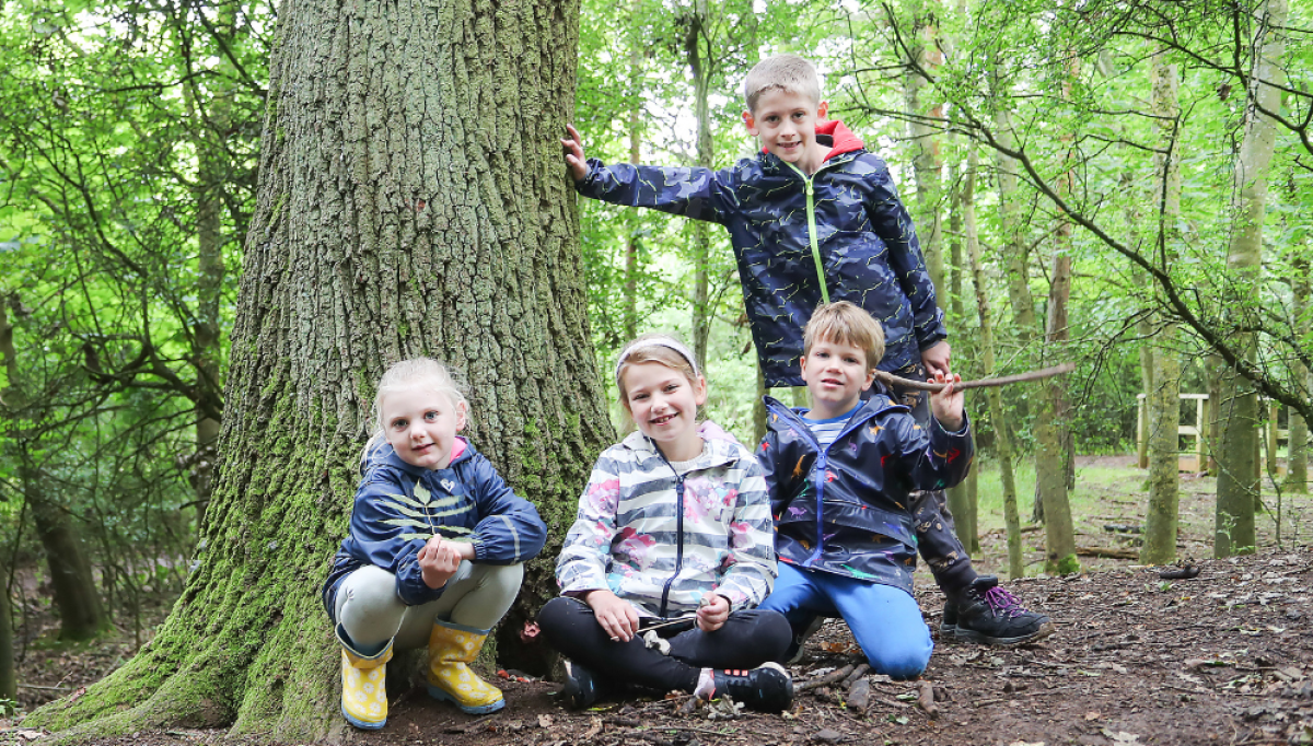 A group of children having fun on a sunny spring day at the Forest