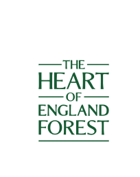 heart of england forest